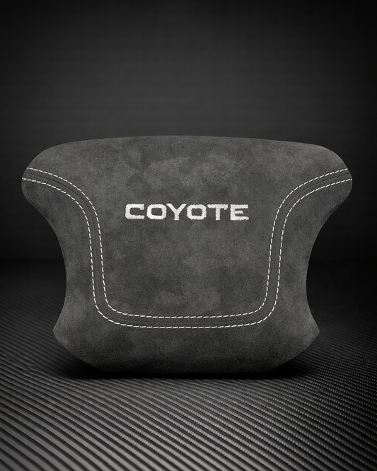 1994-2004 Ford Mustang SN95 Custom Airbag Cover