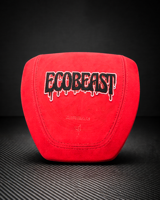 2015-2020 Ford F150/Raptor Custom Airbag Cover